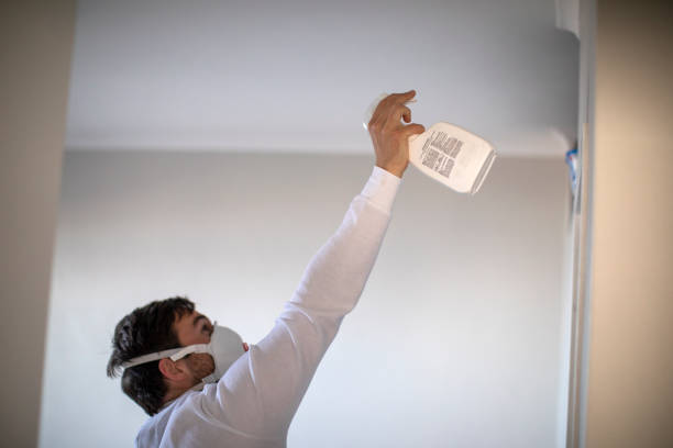 Attic Mold Removal in Bellwood, VA