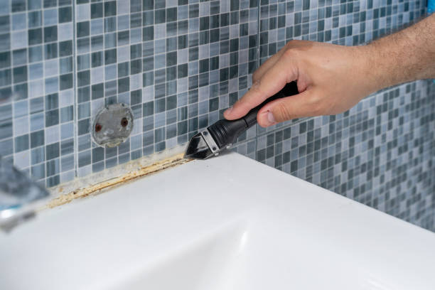 Best Mold Cleaning Services  in Bellwood, VA