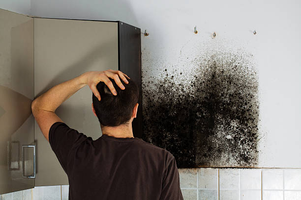 Best Crawl Space Mold Removal  in Bellwood, VA